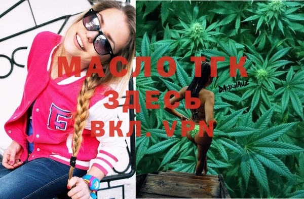 дмт Богданович