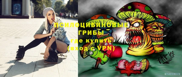 дмт Богданович