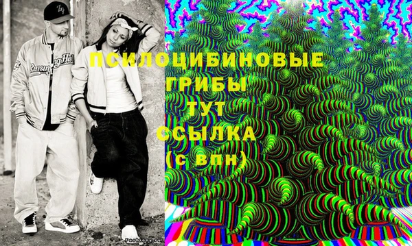 дмт Богданович