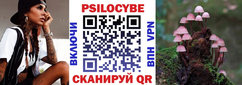 Купить закладки  Славянск-на-Кубани  Псилоцибиновые грибы Magic Shrooms 